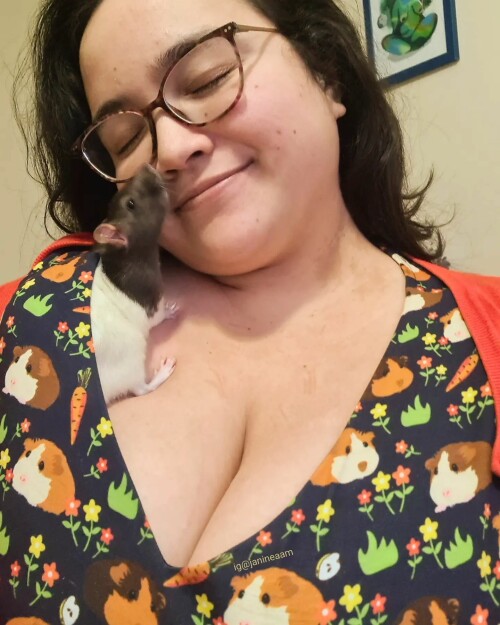 332948864 3374783689404677 6281786483479600534 n