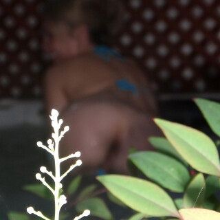 333-40-lg53bcdffda52be44a