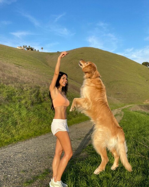 333635183 531923359075221 3071477840202890572 n