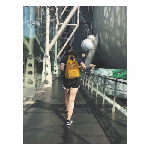 33708393 2102611116681932 8241254565496750080 n