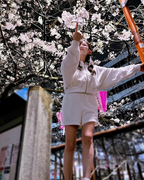 337159677 3444515569122125 4107186971242596219 n