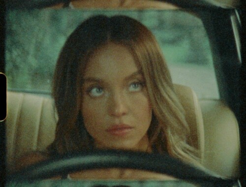 337499929 1259200788330120 9099555583376551544 n