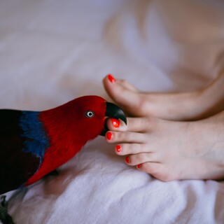 3398186fb95daea46a83a99000343cb2d2