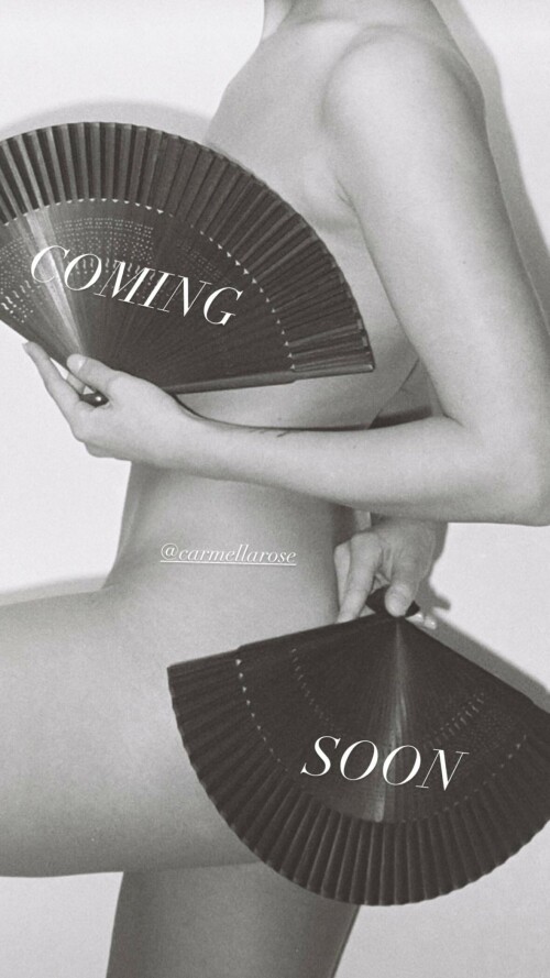 339892028 787125962413084 857355885477224251 n