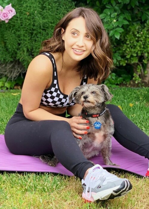 33ce6546960743228607ec02a7534e072