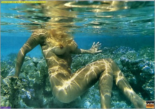 340116880 pamelaandersoniy15