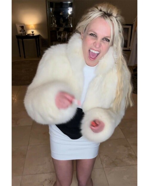 340828182 3305579753088314 4530379194489641892 n