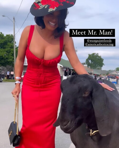 345237521 1924335364566029 6522788611726813903 n3af3b4faafc3aa91