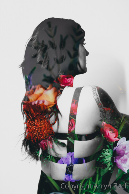 3456x5184 0ef61ee2b0895a81cd6a396c500388e6