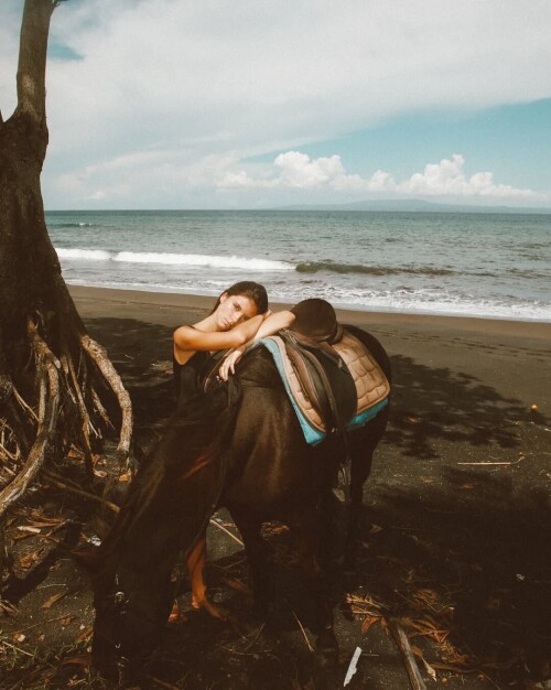 346248425 222966407138432 2238114412885376837 n17ab95c88b2d33fa