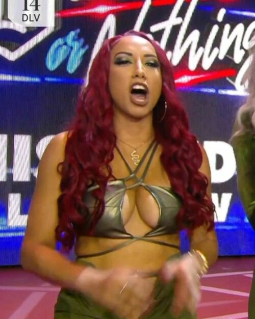 349062769 1209930290404479 8072126878090850965 n