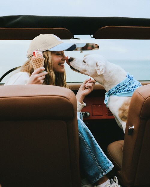 3494E4EA E122 4244 8CDD 4D57C75D0248