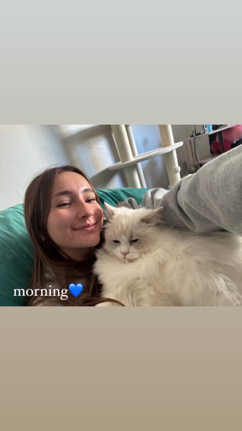 349691341395599772117d9dee56365a260