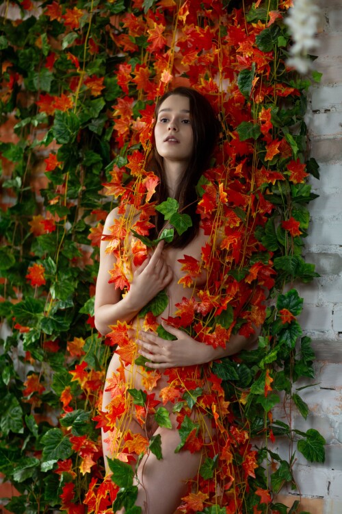 34e2c38a 297f 4081 b8b2 c20d03513cd235fc9eab682eb524