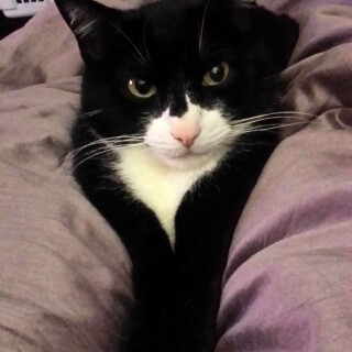 350-34-lg77dd2f9bd501b987