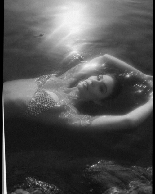 350931917 611359904277099 8234913107634466034 n