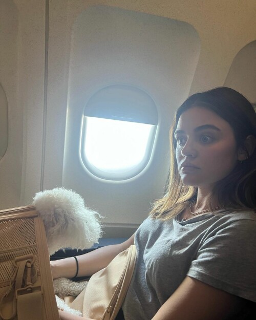 352421823 292806256502533 5671139990044856874 n0a2e93abdc373154