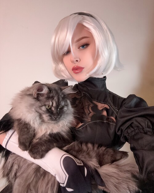 3551979809132335114 219747338 23e89402110f2d536