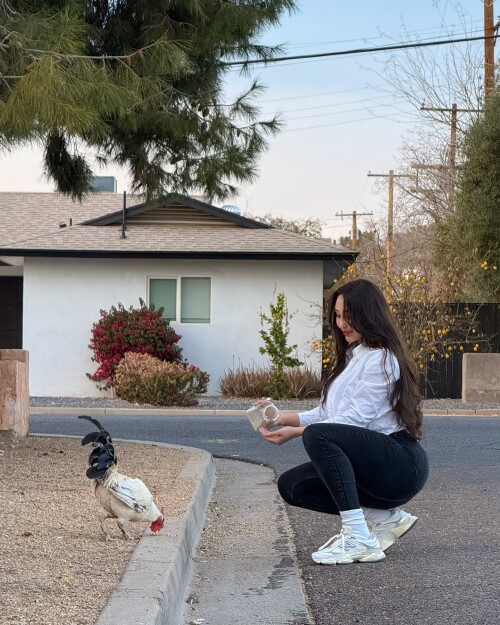 3563602728758051282 3563602718943362985833c68893eca9d13