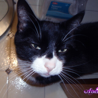 359-06-lg7625f3aa812a625f