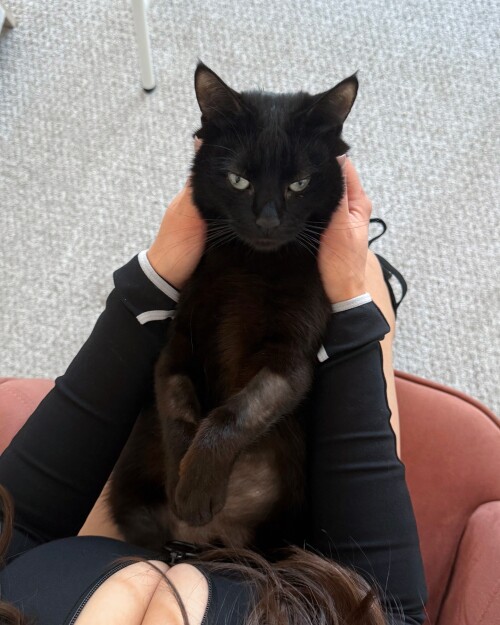 3593990871726915620 35939908598568489155eff7fcabaa7707a