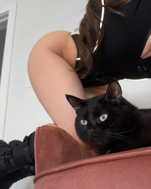 3593990871726915620 3593990859907307198e52d39c6b3ff650e