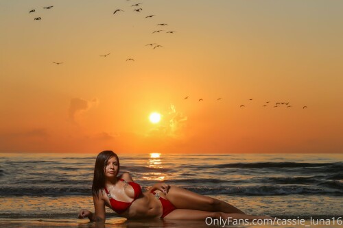 3600x2400 885dd099fd6f955405c0802f5a2bf3d3956526