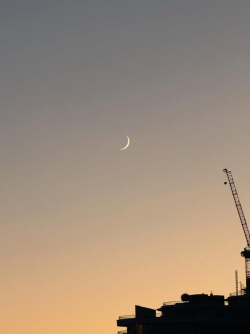 3675127562177026580_59626733783_2796bbcafe7788aa9