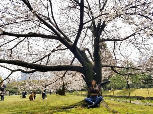 368 TXjaJVg71ef1f47e5494ead