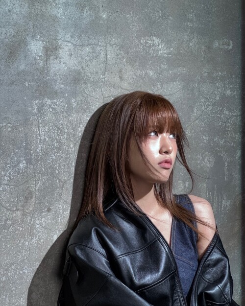 3683710375318836284 6777351116 326d535bb12554db4