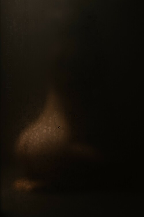 3705x5569 cd4bb43179f5d581e21d767cba233a00