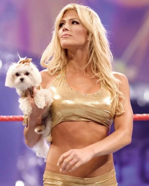 370768080 142271338918007 5808616175369816515 n1ae129f9c9a145cc