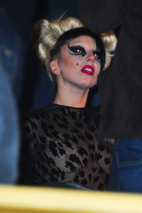 37082_celebrity_paradise_com_TheElder_LadyGaGa38_122_529lo54e1b70710f46d12.jpeg