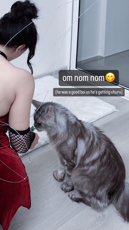 37160485122123042112a13673fa79aff1e