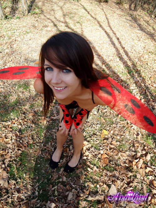 38 31 lgbb53f177a01f3251