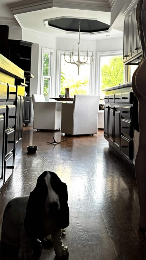 380110206 316811814260975 6178282223285216478 ne545d2d6c5fc0d63