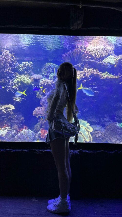 382324107 1021976792263366 2675929965587686393 n74d2fe1a5a65b995