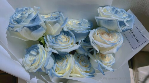 3840x2160 c107840e2332413d60bffcf9c346813c