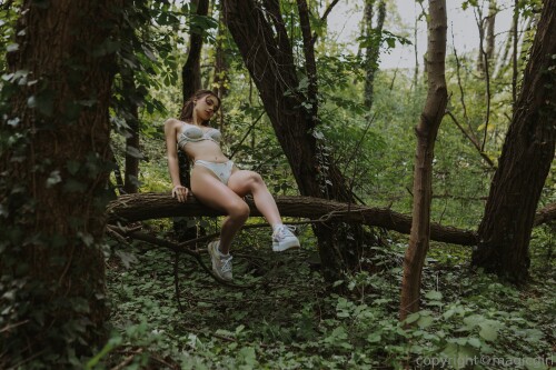 3840x2560 0feacbe1fb6c1e9ff7e45068e6f1d10f890776097c6ecea3