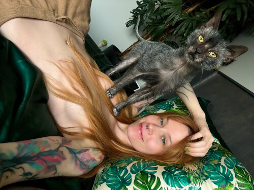 3840x2880 07ef927e9758048afb9c731b81804c2e256b8fc641bc409f