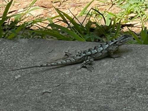 3840x2880 5f6b39832be70fbcafe951abb766b159