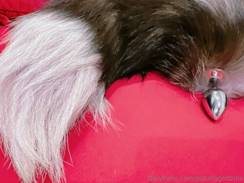 3840x2880 af0c8857aa11f371aef106c1853531bb