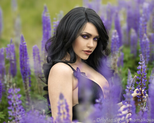 3840x3073 5a03f1bf452552e93808b65d0c75a016