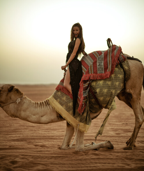 3840x4566 68136318b8a6e23f785519822e6ba346f6812a0de52e2c3f