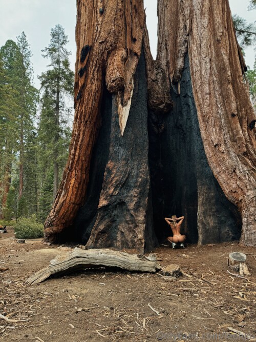 3840x5120 317f6ea3bba9128a3db874d70c1c60012544e3fe8afe77d6