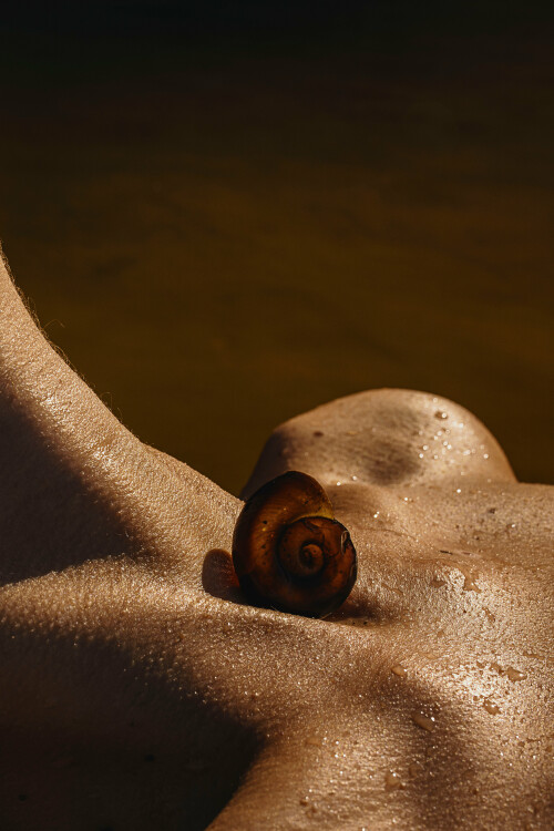 3840x5758 2990678fbeb7153c327a2b64ae314e87504734dcf9763add