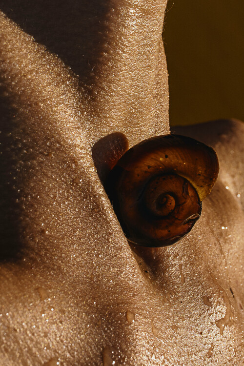 3840x5758 646a654cc00d234c605c9d7d34f7449a3a2f9829646624ad