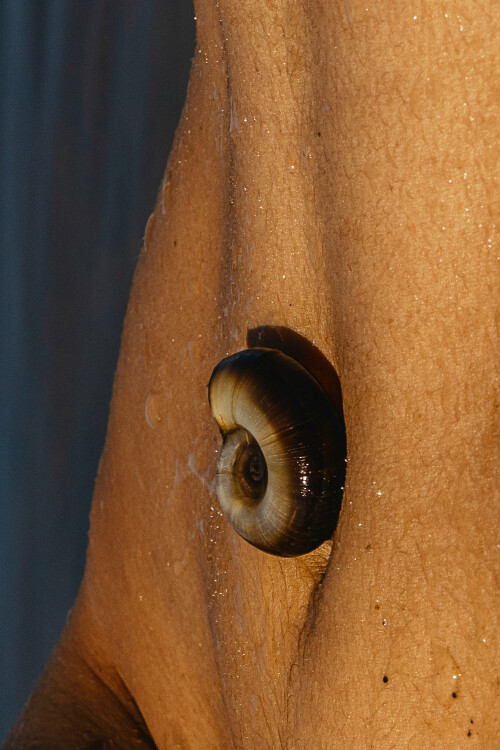 3840x5758 68d9790468536c83d3b209bde7c8b0a3110ca46f734b738c