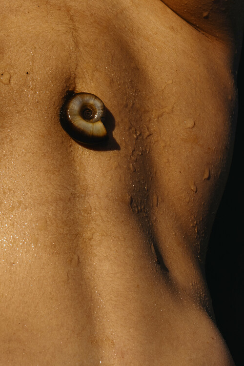 3840x5758 79a513e6756110b6e7d3ceb0600e7a12545ae6f0bcdddf0d