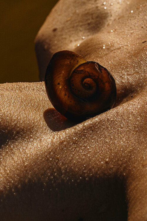 3840x5758 91e0b56f9a57f8a8949e59350667c40478fb34f1d6ec86d7